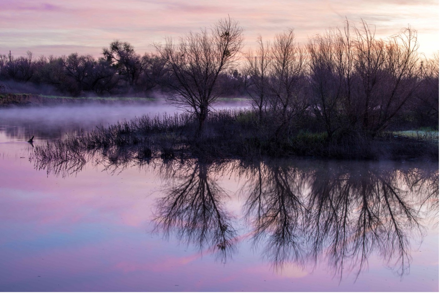 Great Valley Grasslands_sunrise and tule fog along San Joaquin River